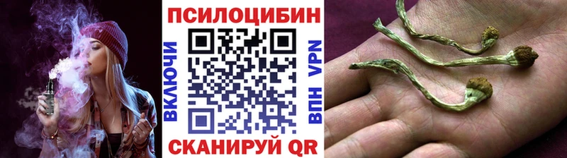 наркотики  Михайловка  ОМГ ОМГ ТОР  Псилоцибиновые грибы GOLDEN TEACHER 